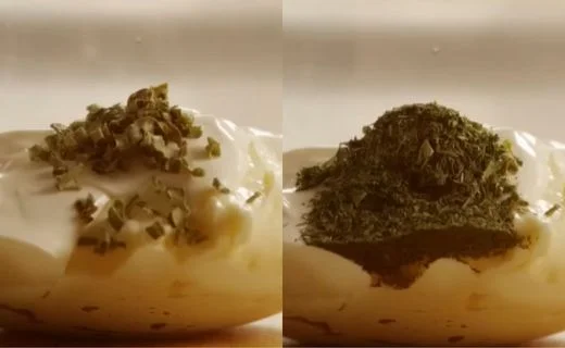 Add the Herbs
